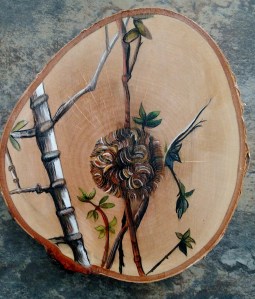 Death Valley, California