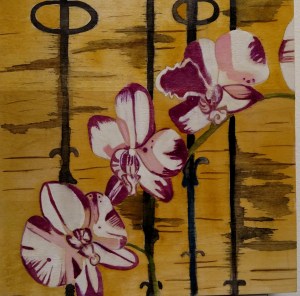 IMG_20160322_145841467[1]