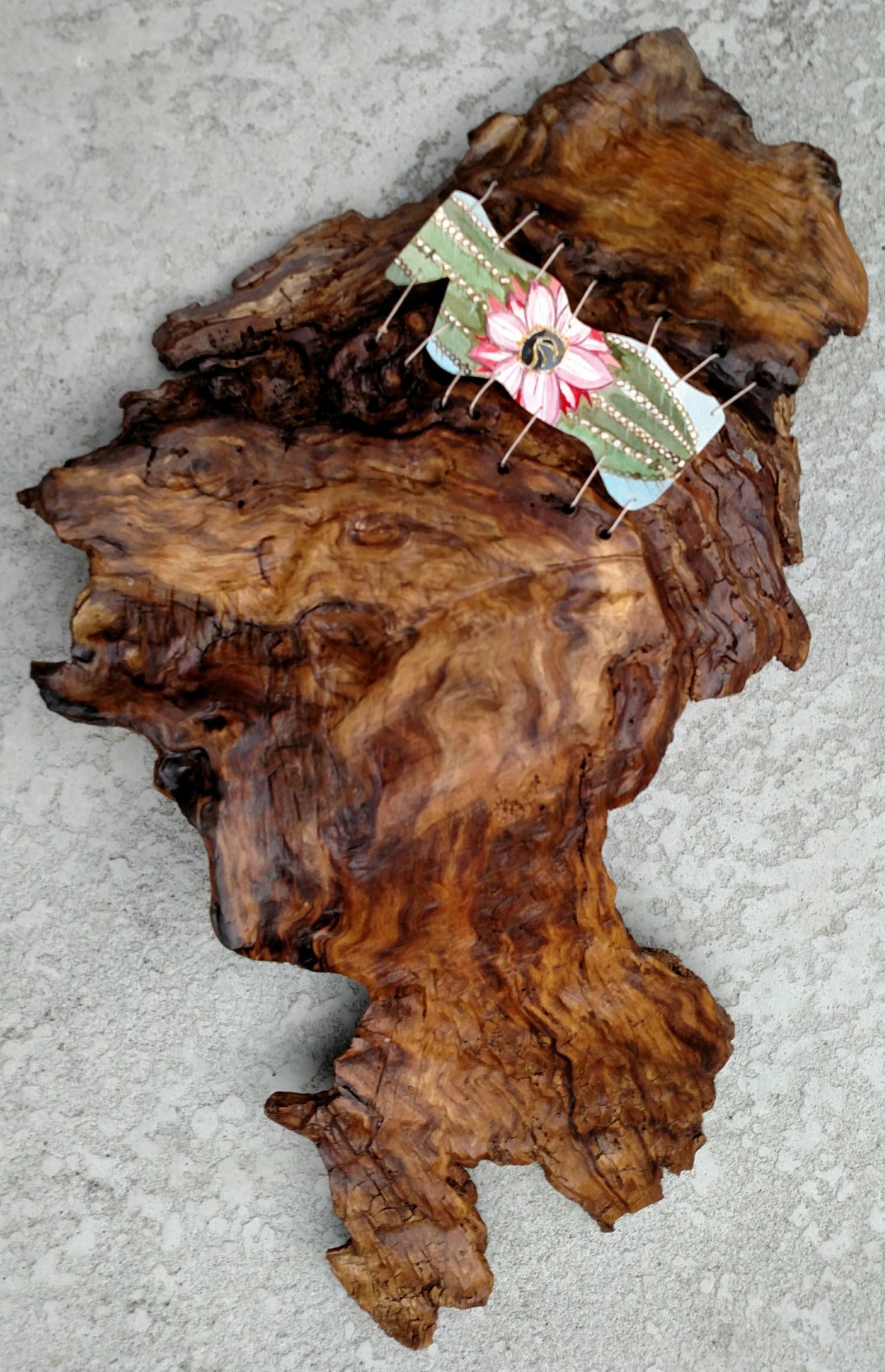 arizona-cactus-flower