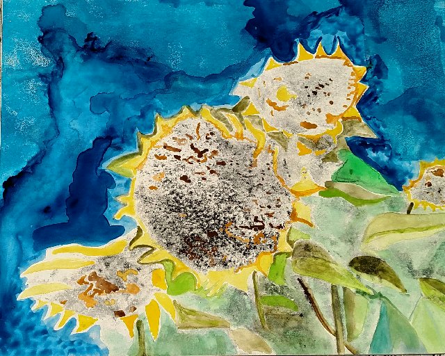 sunflowers