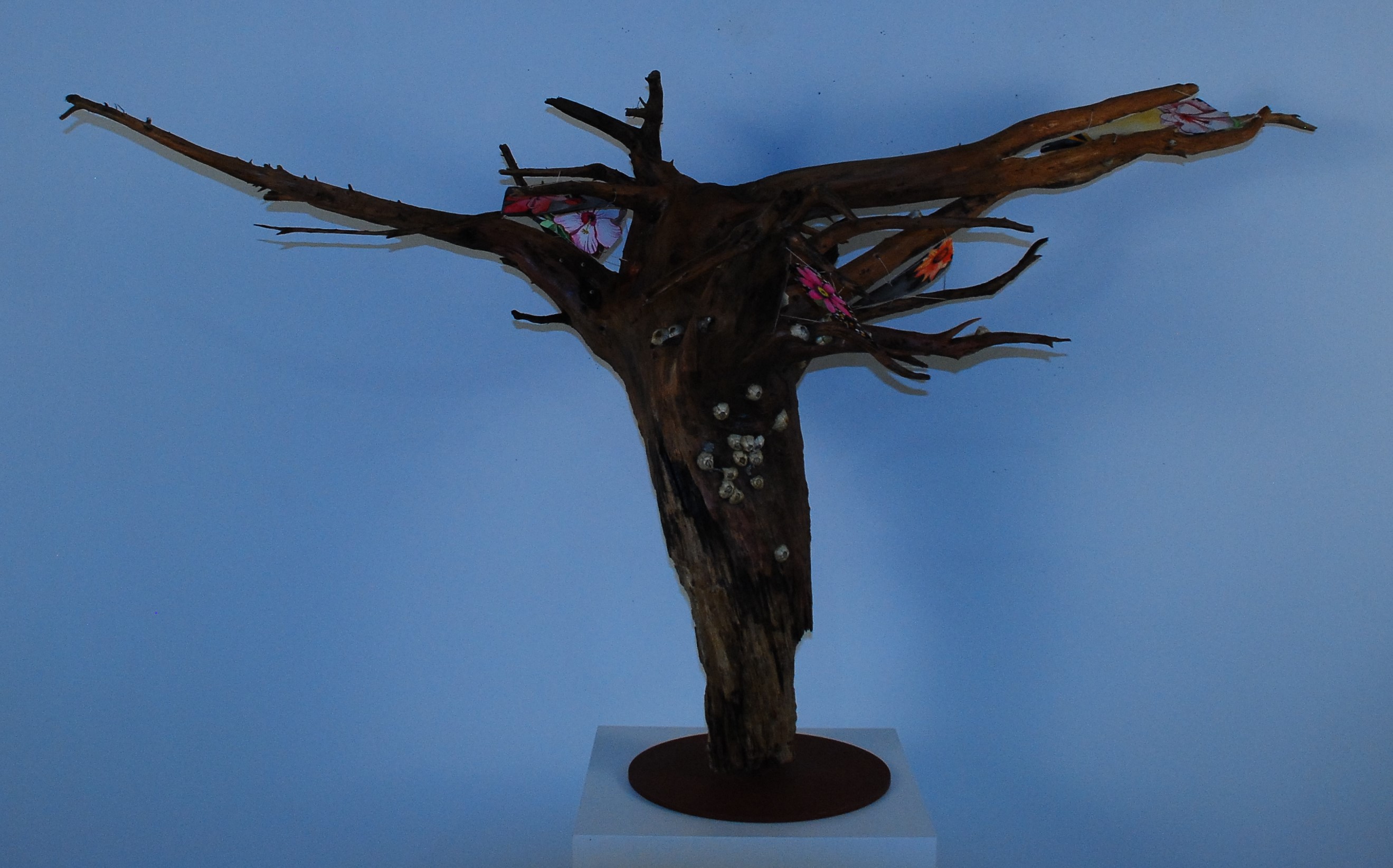 Flowers of Cow Bayou 7