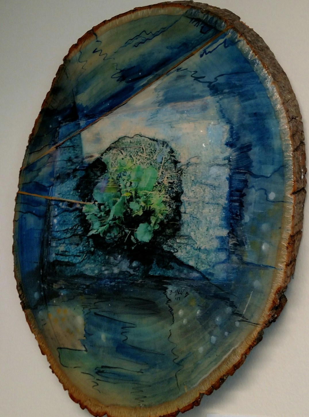 IMG_20170418_202948 (1)