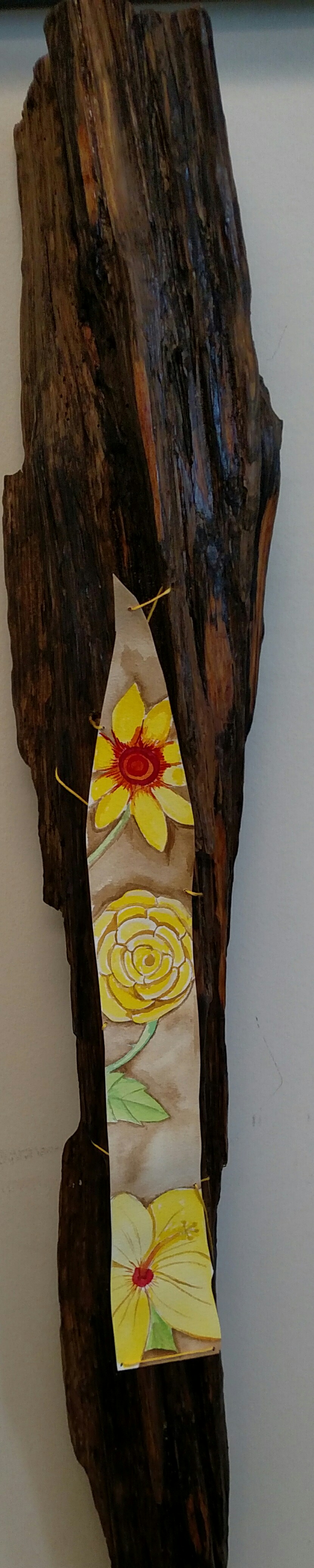 Yellow flowers of Cow Bayou