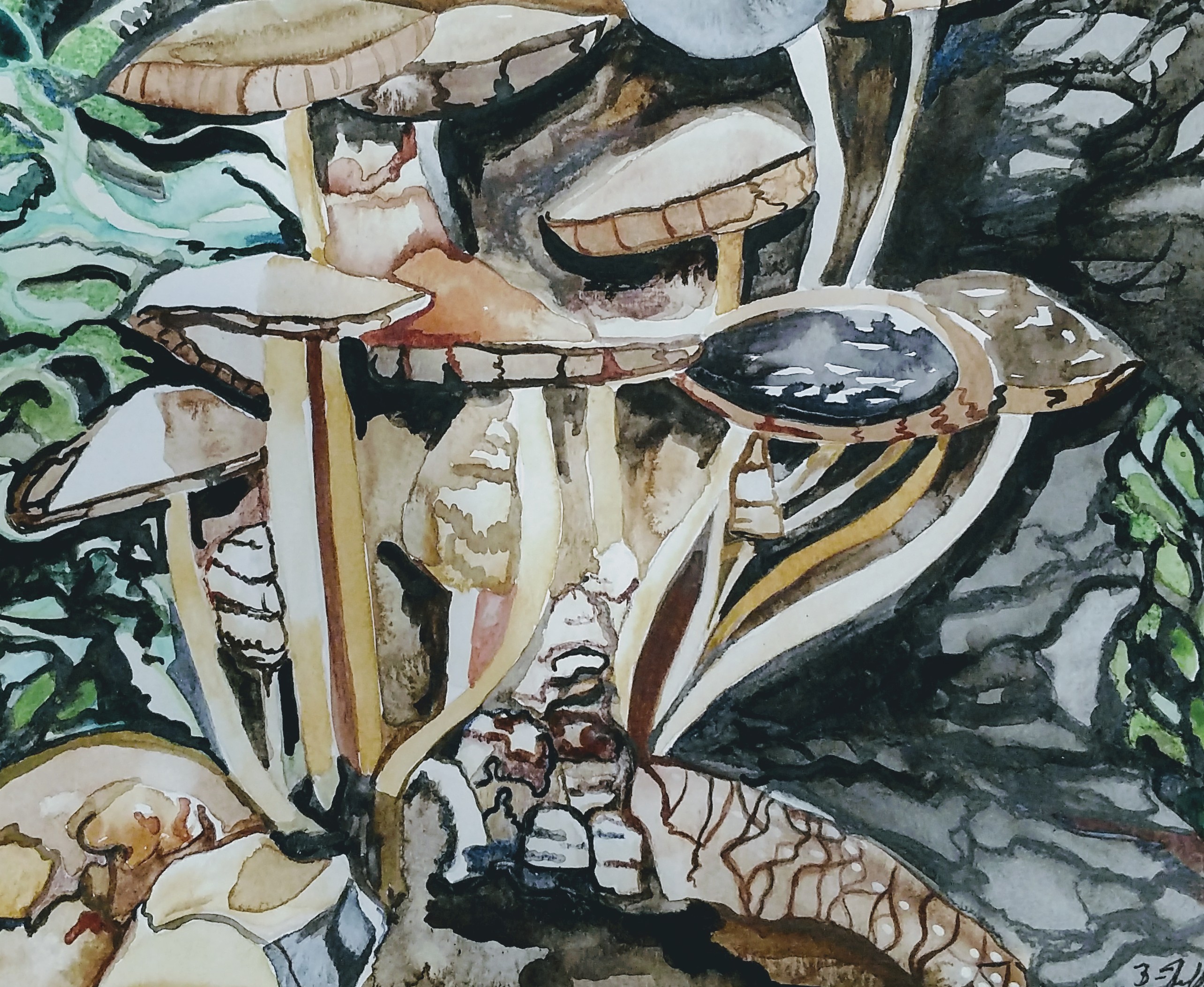 IMG_20180409_162510892