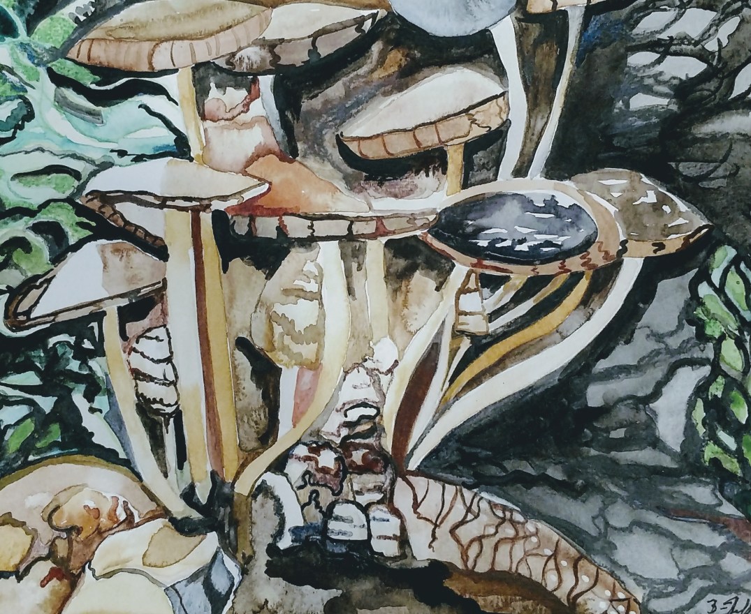 IMG_20180409_162510892